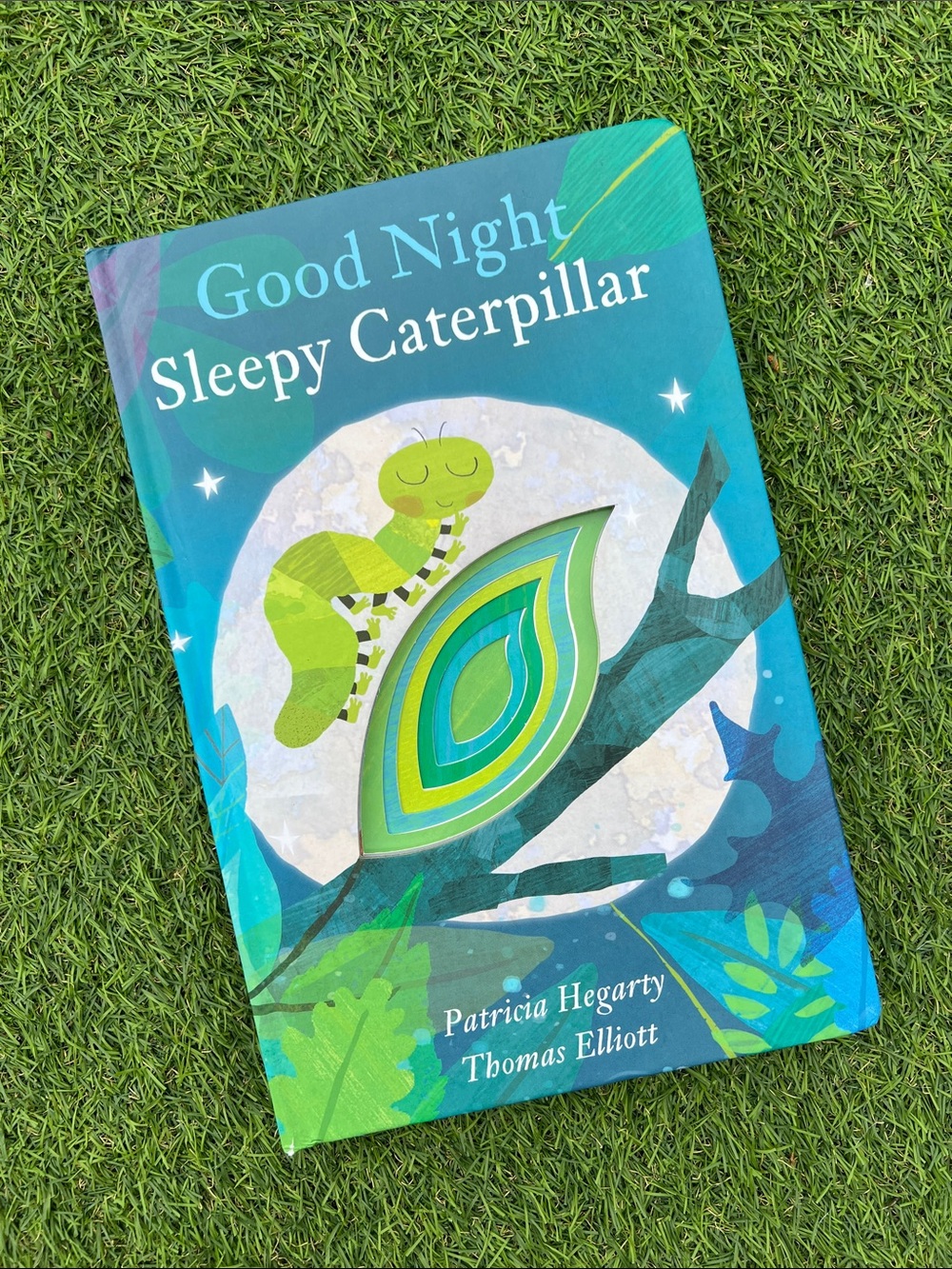Children’s board book "Good Night Sleepy Caterpillar" by Patricia Hegarty 2018